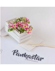 Pankastar 12x12 1,5mm (ud)