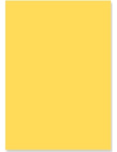 LITTLEM Paper pad 15x20 lisos 2