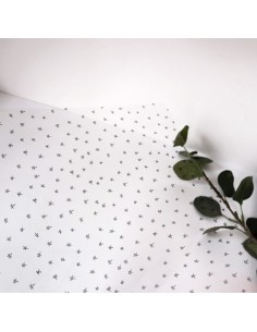 MARIQUILLA acetato LAPONIA