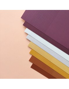 INF- SERIOS CALIDOS mini...