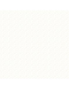 OUTDOORS papeles con foil... 2