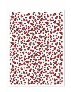 BABYCOLD Carpeta embossing...