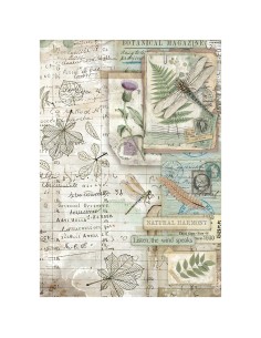 HERBARIUM papel arroz -41078-