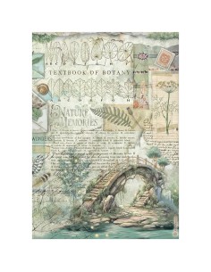 HERBARIUM papel arroz -41079-