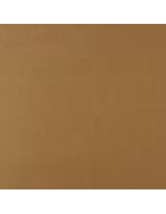 Cartulina 50x65 250g TERRA...